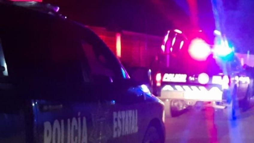 Muere vaca durante volcadura de un tráiler cargado de ganado