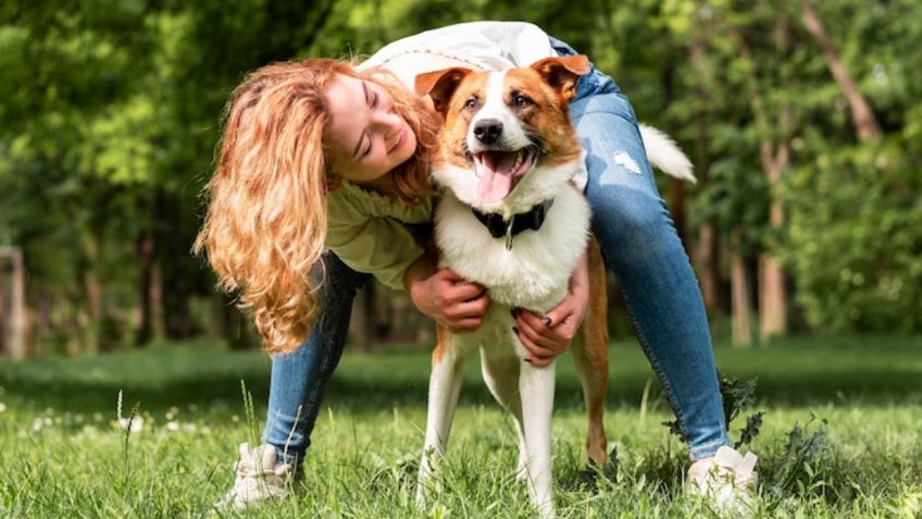 Perros: 5 señales que debes conocer para tener una mejor convivencia con tu mascota