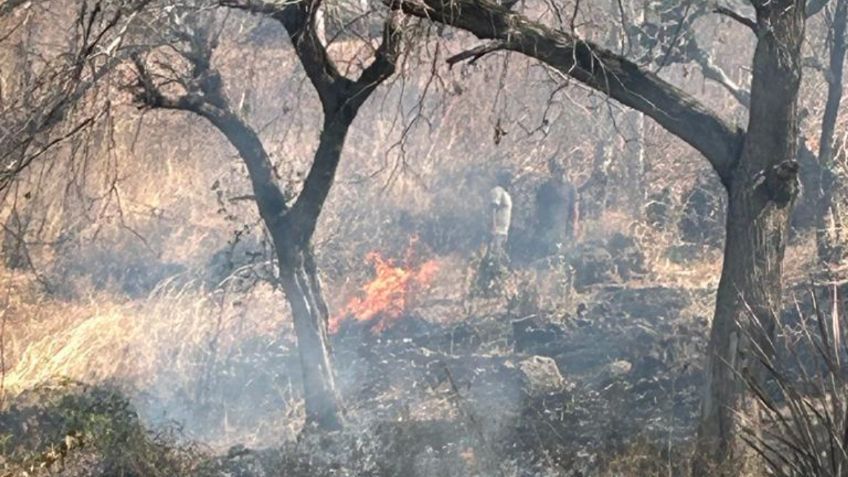 Jalisco: vinculan a dos sujetos por presuntamente causar un incendio en el municipio de Tala