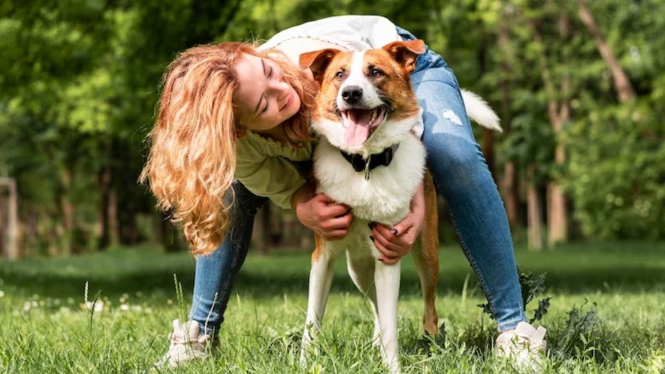 Las señalas que envían los perros a través de su cuerpo son importantes y es necesario entenderlas.