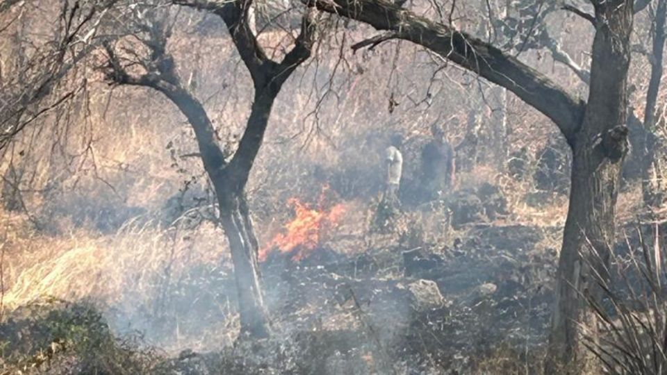 Provocan incendio en el municipio de Tala, Jalsico