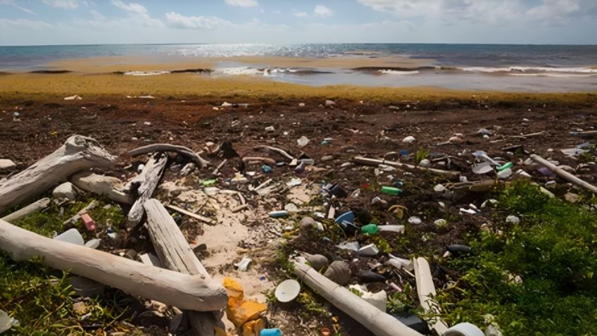 Cambio climático: hablemos de la "isla plástico" y sus habitantes nativos