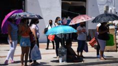 Olas de calor: el estrés térmico puede ser mortal