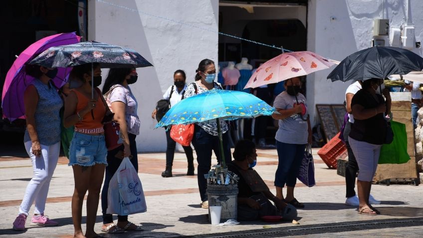 Olas de calor: el estrés térmico puede ser mortal