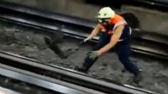 Drama en la estación Centro México: el heroico rescate de una gallina que cayó a las vías del Metro