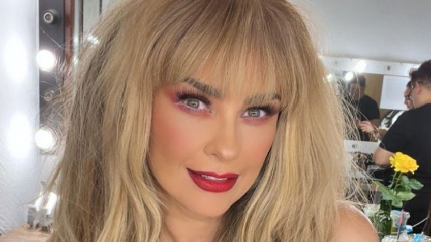 VIDEO | Aracely Arámbula lanza indirecta para Luis Miguel y dice cómo superar  al "rey cucharacho"