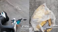 "¡Me caí como en el Mario Kart!": motociclista derrapa por culpa de unas cáscaras de plátano