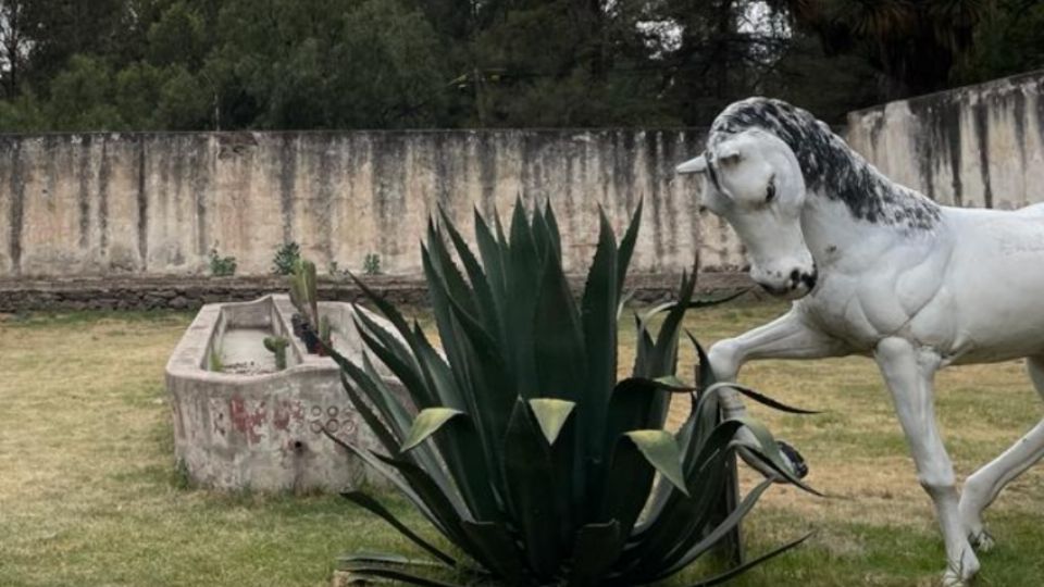 El lugar era usado para alojar y alimentar a los caballos. FOTO: Haniel Mata