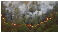 Incendios forestales asolan a Jalisco