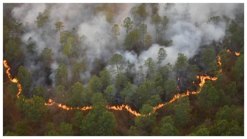 Incendios forestales asolan a Jalisco