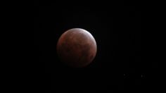 Eclipse de sangre: cómo verlo el próximo 5 de mayo desde México