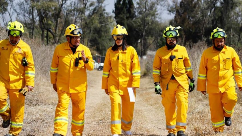 Lía Limón: los incendios forestales en Álvaro Obregón se han reducido en 91.08%