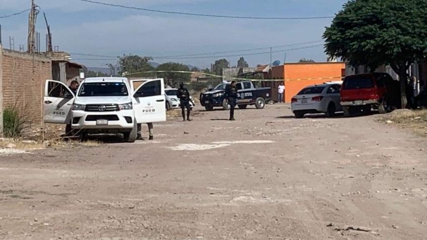 Perro con un brazo en el hocico llevó a localizar un cuerpo mutilado en Durango