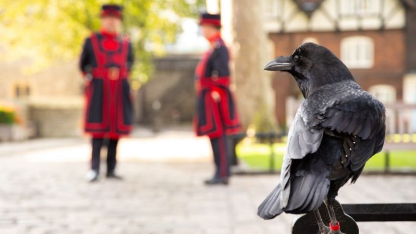 Coronación de Carlos III: Esta es la sombría profecía que amenaza a la monarquía británica