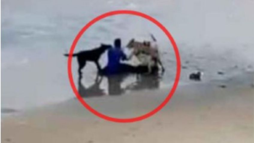 VIDEO | Brutal ataque en Tijuana: captan a jauría de perros mordiendo a hombre en la playa