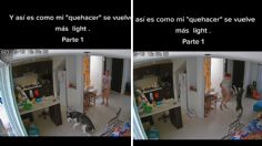 VIDEO | Mujer baila con su perro mientras hace el quehacer: "así se vuelve más light"