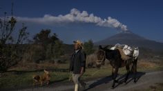 MAPA: estos son los 12 volcanes que están activos en todo México