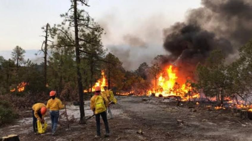 Arde Chihuahua: reportan 26 incendios forestales activos en el estado