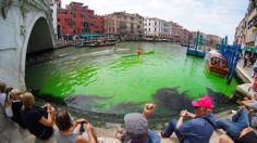 VIDEO: Las aguas del Gran Canal de Venecia se tiñen de verde fosforescente ¿cuál es la razón?