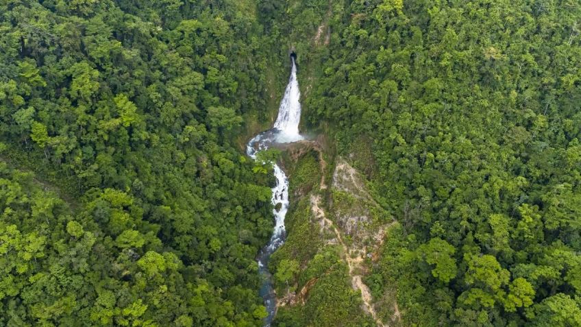 Dieron señales de vida: así va el dramático caso de un bebé y tres niños perdidos en la selva