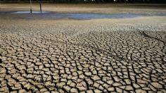 Alerta mundial: la ONU advierte que "El Niño" provocará temperaturas extremas