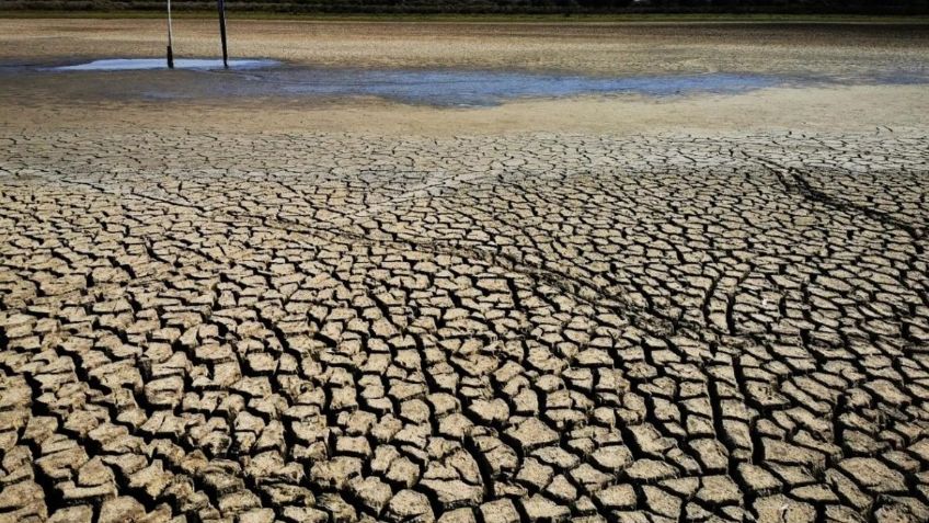 Alerta mundial: la ONU advierte que "El Niño" provocará temperaturas extremas