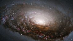 VIDEO: El misterio detrás de la galaxia del Ojo del Diablo, finalmente explicado por astrónomos