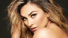 Aracely Arámbula vivió tórrido romance con este actor y cantante ¿Era más guapo y mejor que Luis Miguel?