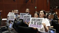 La Ley 3 de 3 destapó una cloaca de violentadores de mujeres, asegura activista