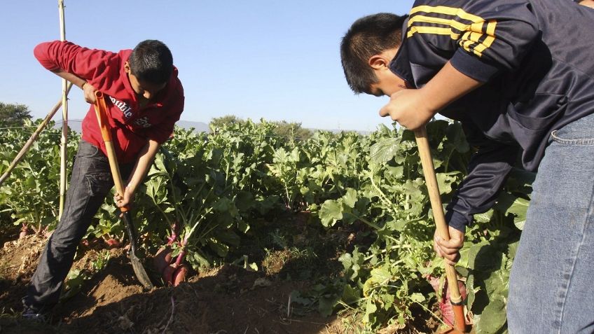 La extinción de Financiera Rural acaba con apoyos históricos al campo, el programa tenía casi 100 años