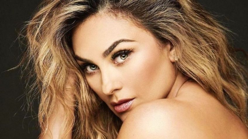 Aracely Arámbula vivió tórrido romance con este actor y cantante ¿Era más guapo y mejor que Luis Miguel?