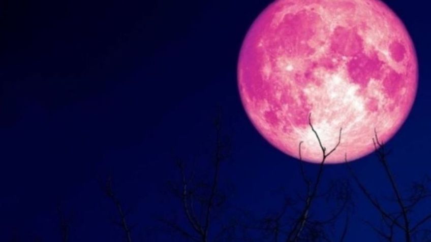 Luna de fresa: 3 rituales para encontrar el amor que puedes hacer este 4 de junio