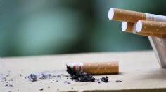 Día Mundial sin Tabaco: los terribles daños ambientales ocasionados por las colillas de cigarro