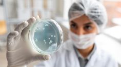 ¿Las superbacterias acabarán con la humanidad? Tienen el potencial para ser una amenaza mundial