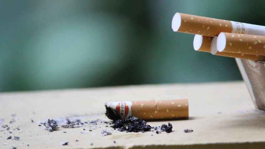 Día Mundial sin Tabaco: los terribles daños ambientales ocasionados por las colillas de cigarro