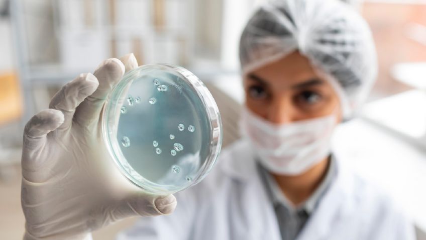 ¿Las superbacterias acabarán con la humanidad? Tienen el potencial para ser una amenaza mundial