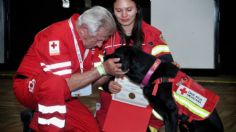 July, la perrita rescatista que ayudó tras el sismo de Turquía, se retira con honores en Puebla