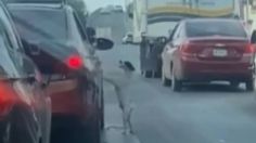 Desgarrador video muestra cómo un perrito persigue el carro de sus dueños que lo abandonaron en plena carretera