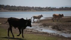 La sequía en el norte del país tendrá un "respiro" tras el término del fenómeno climático de "La Niña"