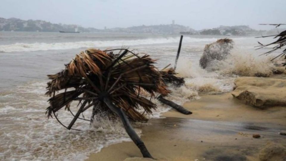 La proyección es que se formen de siete a nueve tormentas tropicales