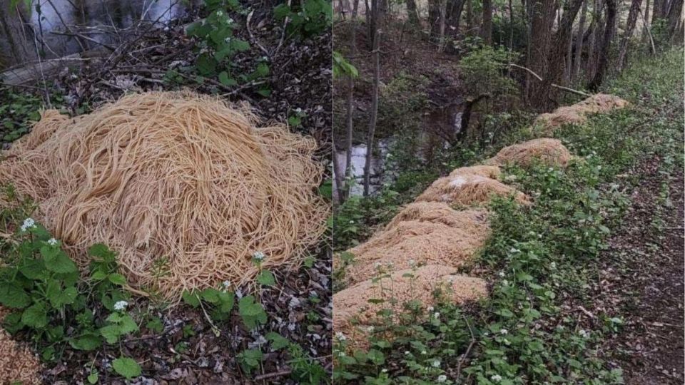 La pasta para espaguetis se produce principalmente a partir de sémola de trigo duro, agua y a veces huevo.