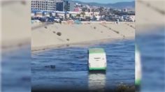 VIDEO | ¡De película! Sujeto roba autobús y choca con 20 vehículos en su huida en Tijuana