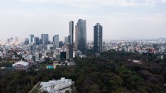 Por esta visionaria razón se caen menos edificios por sismos en la Ciudad de México