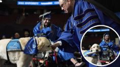 Perro guía recibe diploma de graduación por asistir a todas las clases con su dueña