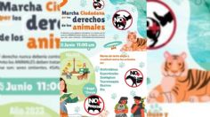 Marcha contra maltrato animal en CDMX: cuándo y dónde será