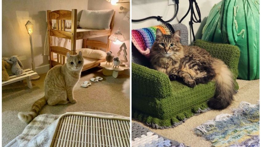 ¿Tienes un mal día? Esta GALERÍA de gatos con muebles miniatura te alegrará