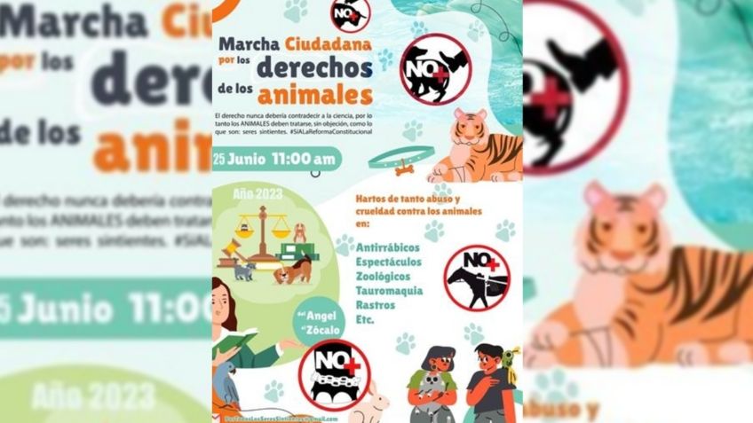 Marcha contra maltrato animal en CDMX: cuándo y dónde será