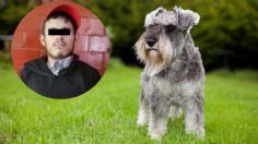 Asesinó a un perrito y a su dueño porque el schnauzer le ladró cuando iba pasando