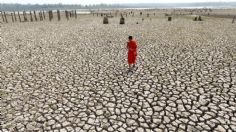 Fenómeno "El Niño": ¿cómo ocurre y qué países afectará este 2023?