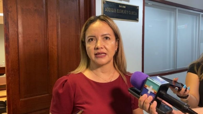 Diputada perredista arremete contra declaraciones discriminatorias de la senadora Martha Márquez